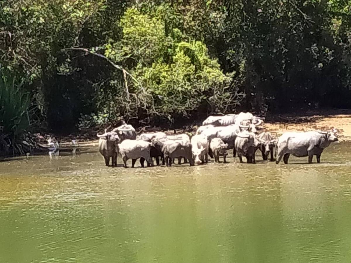 Khum Thong Resort Takuapa Exteriér fotografie
